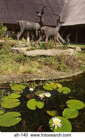 Statues and Pond Skukuza Camp South Africa View Large Photo Image Stock Image - Statues and Pond Skukuza Camp South Africa. Fotosearch