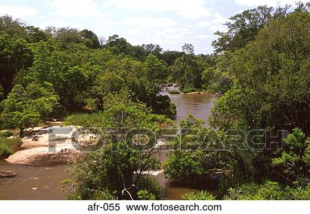 View Across Kruger National Park South Africa View Large Photo Image Stock Photography - View Across Kruger National Park South Africa. Fotosearch