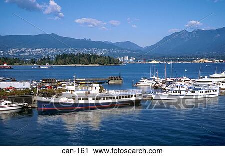 Boats at Marina Coal Harbour Vancouver Canada View Large Photo Image Stock Image - Boats at Marina Coal Harbour Vancouver Canada. Fotosearch