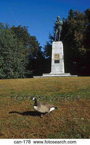 Canada goose View Large Photo Image Stock Photo - Canada goose. Fotosearch