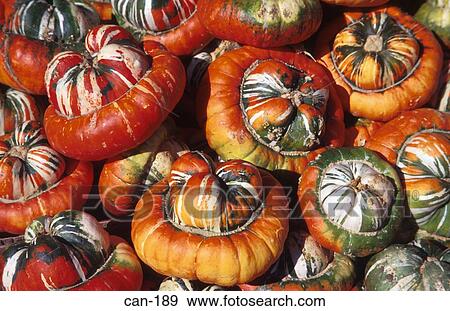 Close Up of Squashes on Market Stall Canada View Large Photo Image Stock Photo - Close Up of Squashes on Market Stall Canada. Fotosearch