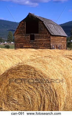 Stock Image - Dutch Barn and Straw Bales Canada. Fotosearch