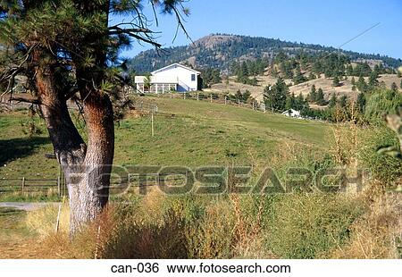 Stock Photograph - Fields and Farmhouse Penticion Canada. Fotosearch