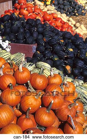Picture - Green and Orange Squash and Pumpkins on Market Stall. Fotosearch