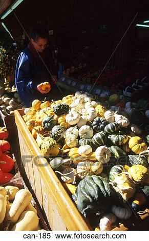 Green and Orange Squash and Pumpkins on Market Stall View Large Photo Image Stock Photography - Green and Orange Squash and Pumpkins on Market Stall. Fotosearch