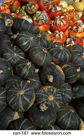 Stock Photo - Green and Orange Squashes on Market Stall Canada. Fotosearch