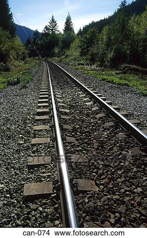 Picture - Railway through Forest Fraser Canyon Canada. Fotosearch