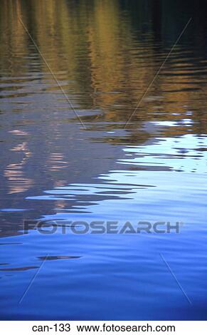 Reflections of Trees in Water Canada View Large Photo Image Stock Image - Reflections of Trees in Water Canada. Fotosearch