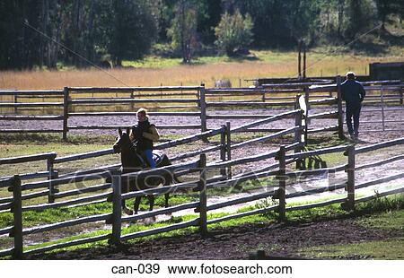 Rider at Riding School Canada View Large Photo Image Stock Photo - Rider at Riding School Canada. Fotosearch