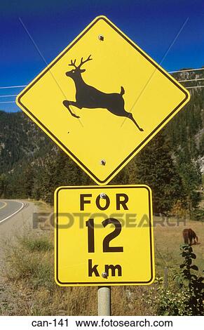 Road Sign Warning of Deer Canada View Large Photo Image Stock Image - Road Sign Warning of Deer Canada. Fotosearch