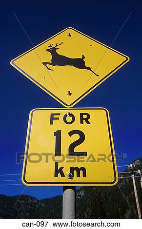 Road Sign Warning of Deer Canada View Large Photo Image Stock Photo - Road Sign Warning of Deer Canada. Fotosearch