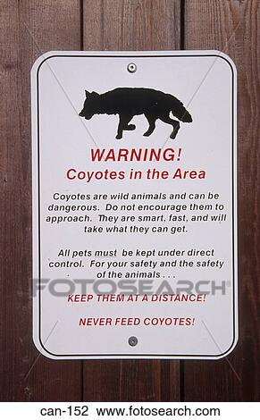 Sign Warning of Coyotes Canada View Large Photo Image Stock Image - Sign Warning of Coyotes Canada. Fotosearch