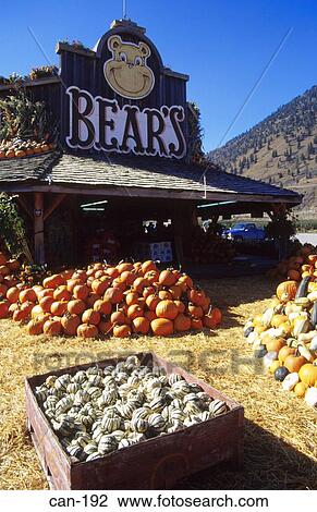 Stacks of Squashes and Pumpkins outside Farm Shop Canada View Large Photo Image Stock Image - Stacks of Squashes and Pumpkins outside Farm Shop Canada. Fotosearch