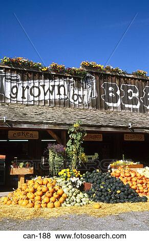 Stacks of Squashes and Pumpkins outside Farm Shop Canada View Large Photo Image Stock Photo - Stacks of Squashes and Pumpkins outside Farm Shop Canada. Fotosearch