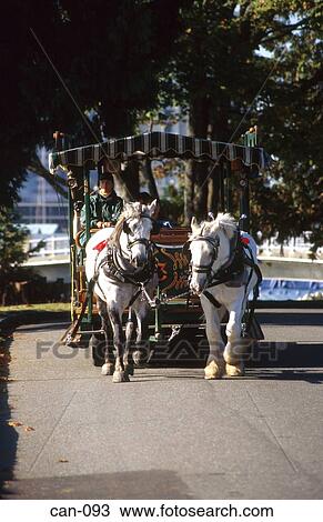 Stock Image - Tourists on Horse Coach Tour Vancouver Canada. Fotosearch