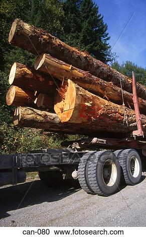 Stock Image - Tree Trunks on Truck Trailer Canada. Fotosearch