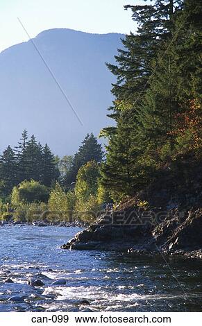 View of Wilderness by Fraser River Canada View Large Photo Image Stock Photo - View of Wilderness by Fraser River Canada. Fotosearch