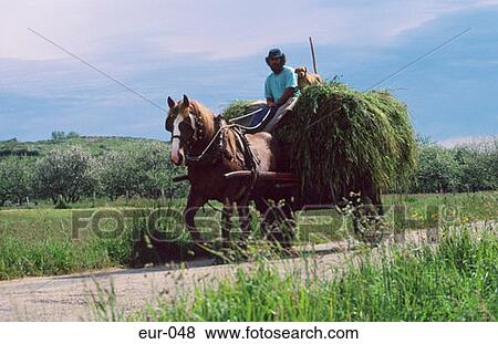 Stock Photo - Cart Horse Farmer and Dog Asturia. Fotosearch