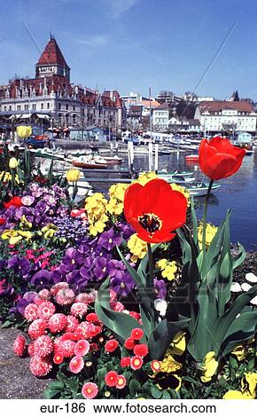 Stock Photograph - Flower Display Along Promenade Ouchy Lausanne. Fotosearch