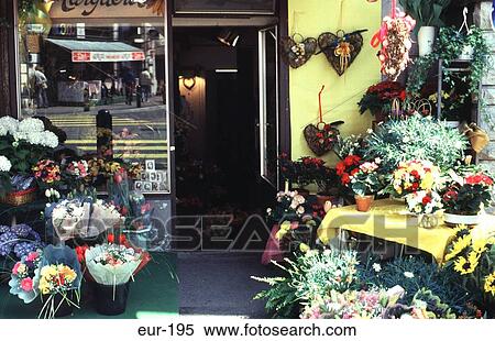 Stock Photography - Flower Shop Avenue D'Ouchy Lausanne Switzerland. Fotosearch