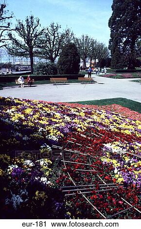 Formal Flower Bed Allee Des Bacounis Lausanne View Large Photo Image Stock Image - Formal Flower Bed Allee Des Bacounis Lausanne. Fotosearch