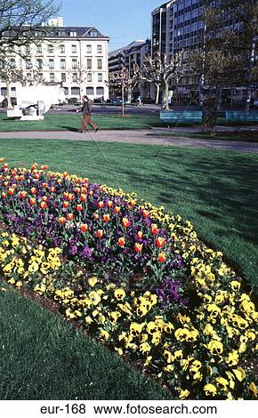 Stock Photo - Spring Flower Bed Place Des Alpes Switzerland. Fotosearch