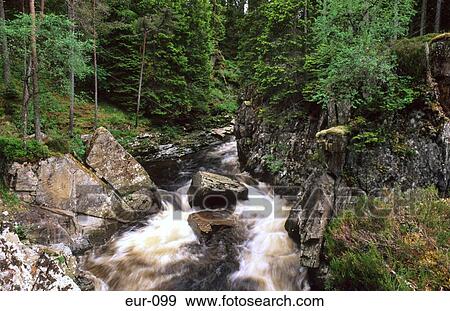 Stream Rocks Trees Scotland View Large Photo Image Stock Photo - Stream Rocks Trees Scotland. Fotosearch