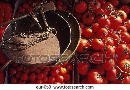 Tomatoes Weighing Scales Italy View Large Photo Image Stock Photo - Tomatoes Weighing Scales Italy. Fotosearch
