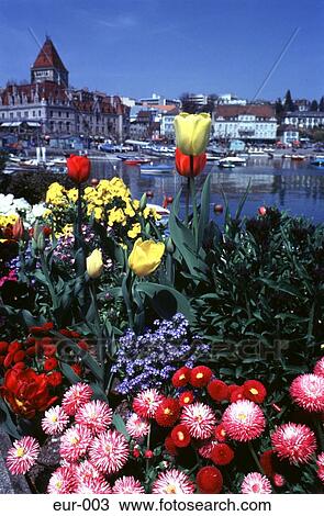 Stock Image - View of Lausanne Switzerland. Fotosearch