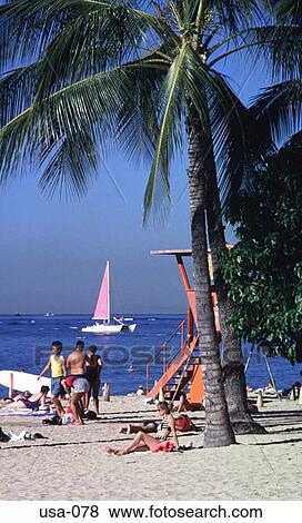 Beach Scene Hawaii USA View Large Photo Image Stock Photo - Beach Scene Hawaii USA. Fotosearch