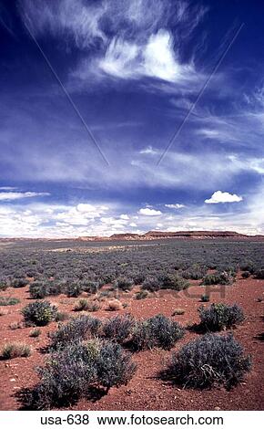 Clouds in the Arizona Desert View Large Photo Image Stock Photo - Clouds in the Arizona Desert. Fotosearch