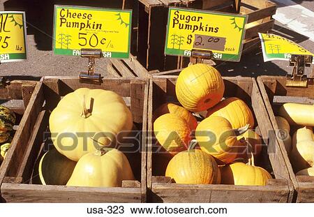 Crates Of Pumpkins Greenwich Village Market New York View Large Photo Image Stock Image - Crates Of Pumpkins Greenwich Village Market New York. Fotosearch