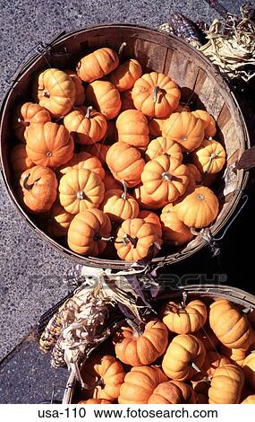 Stock Image - Display Baskets of Pumpkins Boston USA. Fotosearch