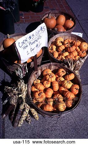 Stock Photography - Display of Mini Pumpkins and Sweet Corn Boston USA. Fotosearch