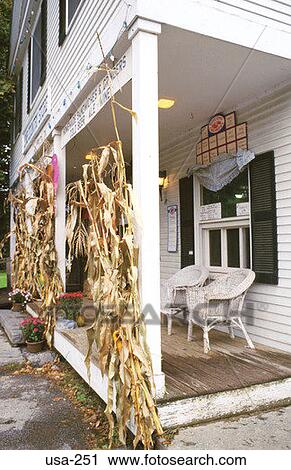 Drying Maize on Veranda New Hampshire USA View Large Photo Image Stock Image - Drying Maize on Veranda New Hampshire USA. Fotosearch