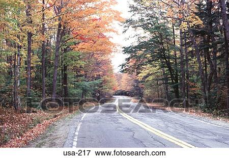 Highway Through Forest in the Fall New Hampshire View Large Photo Image Stock Photo - Highway Through Forest in the Fall New Hampshire. Fotosearch