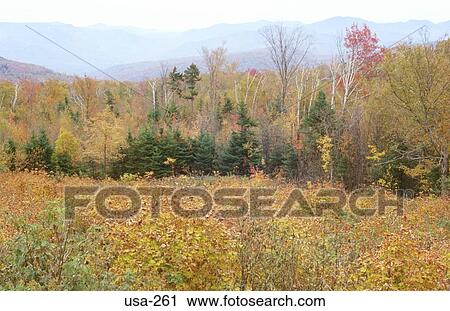 Hills of New Hampshire in the Fall View Large Photo Image Stock Image - Hills of New Hampshire in the Fall. Fotosearch
