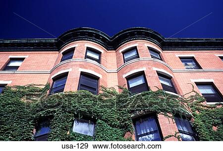 Stock Photo - Ivy on Apartment Block Beacon Street Boston USA. Fotosearch