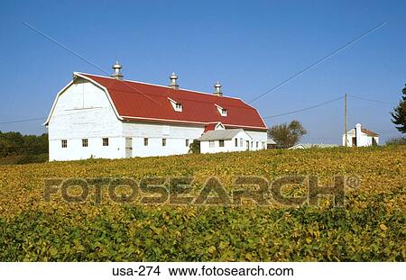 Large Barn in Field Maryland USA View Large Photo Image Picture - Large Barn in Field Maryland USA. Fotosearch