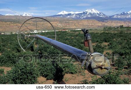 Stock Image - Moveable Irrigation pipe Utah. Fotosearch