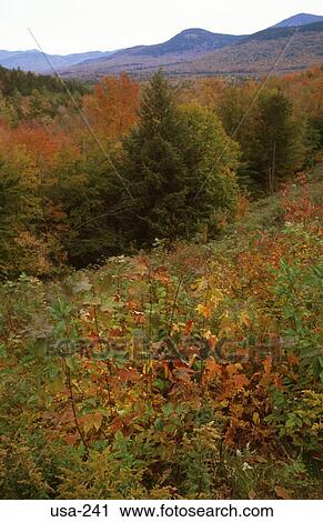 Stock Image - New Hampshire Landscape in Fall. Fotosearch