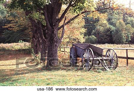 Old Blue Wagon Cart under a Tree New Hampshire USA View Large Photo Image Stock Photograph - Old Blue Wagon Cart under a Tree New Hampshire USA. Fotosearch