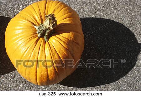 Stock Photography - Pumpkin at Greenwich Village Market New York USA. Fotosearch