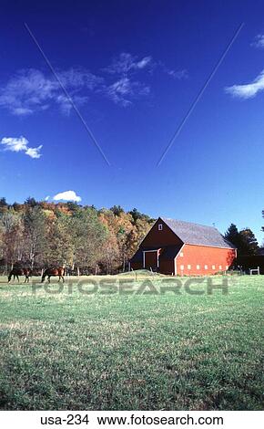 Picture - Red Barn and Horses an a Field New Hampshire. Fotosearch