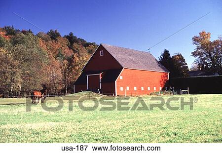 Stock Photo - Red Barn and Horses New Hampshire USA. Fotosearch