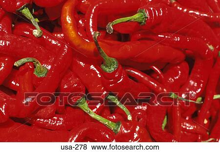 Red Chillies View Large Photo Image Stock Photo - Red Chillies. Fotosearch