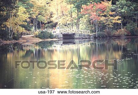 Reflection of a Bridge and Trees New Hampshire USA View Large Photo Image Stock Photo - Reflection of a Bridge and Trees New Hampshire USA. Fotosearch