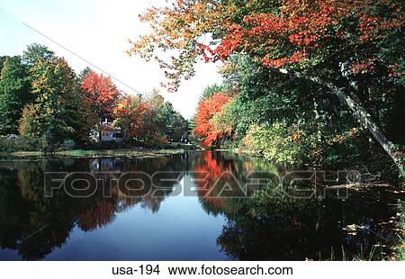Reflection of Autumn Trees in a Lake USA View Large Photo Image Picture - Reflection of Autumn Trees in a Lake USA. Fotosearch