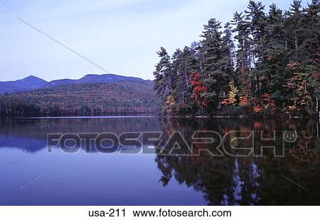Reflection of Trees in a Lake New Hampshire View Large Photo Image Stock Image - Reflection of Trees in a Lake New Hampshire. Fotosearch