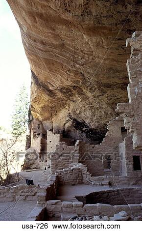 Spruce Tree House Mesa Verde National Park Colorado View Large Photo Image Stock Photograph - Spruce Tree House Mesa Verde National Park Colorado. Fotosearch